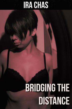 Cover of the book Bridging the Distance by Shauna Michaels