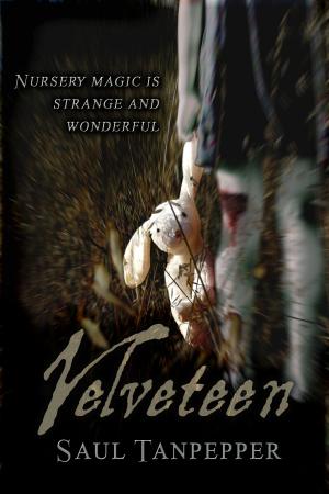 Cover of the book Velveteen by Saul Tanpepper