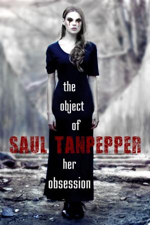 Cover of the book The Object of Her Obsession by H.D. Jones