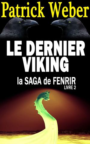 Cover of the book Le dernier Viking by Alphonse Boudard