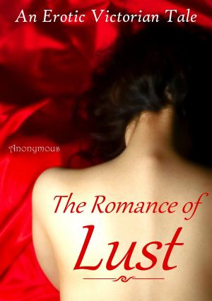 Cover of the book The Romance of Lust by Scott R. Parkin