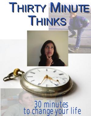 Book cover of Thirty Minute Thinks