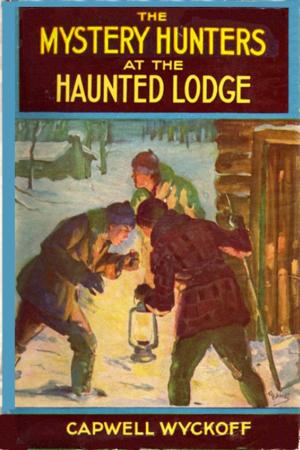 bigCover of the book The Mystery Hunters and the Haunted Lodge by 