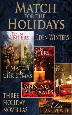 Cover of the book Match for the Holidays by Eden Winters
