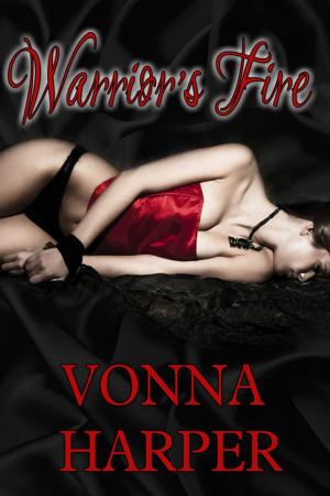 Cover of the book Warrior's Fire by Lara Hawkins