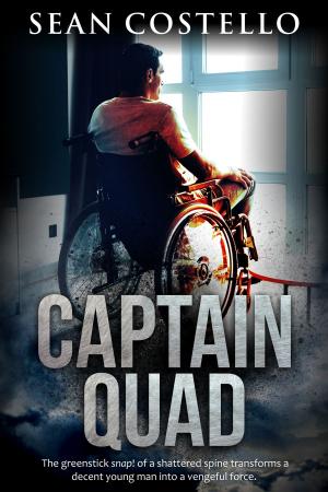 Cover of the book Captain Quad by Anne Tenino, Lou Harper