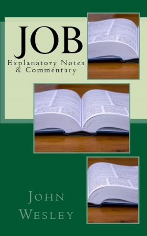 Cover of the book Job by Jonathan MS Pearce