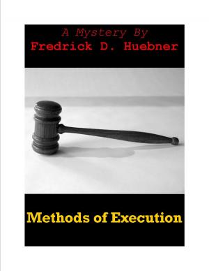 Cover of the book Methods of Execution by scott wellinger