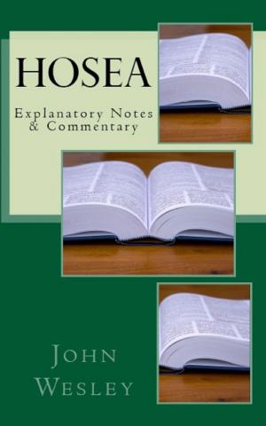 Cover of the book Hosea by Bola Akin-John