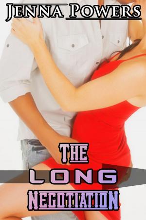 Cover of the book The Long Negotiation by Jenna Powers