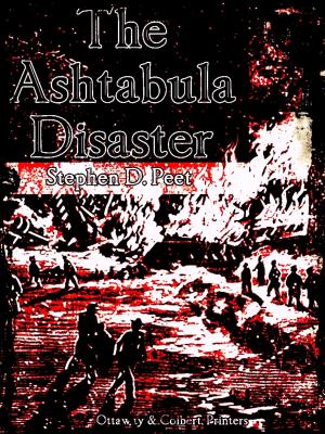 Cover of the book The Ashtabula Disaster by Doreen Pfost