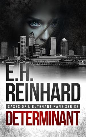Cover of the book Determinant by E.H. Reinhard