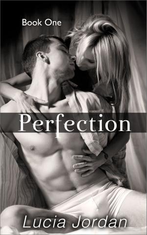 Cover of the book Perfection by Raj Mirages