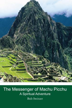 Cover of the book The Messenger of Machu Picchu by Connie Cockrell