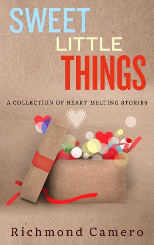 Cover of the book Sweet Little Things by Tommy Tickler, tommy Tickler