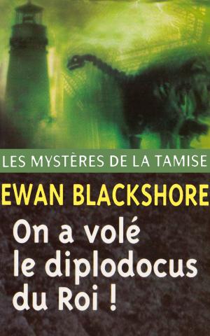 Book cover of On a volé le diplodocus du Roi !