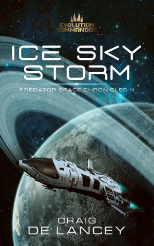 Cover of the book Ice Sky Storm by Allison D. Reid