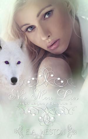 Cover of the book No More Lies by Maggie O'Dempsey