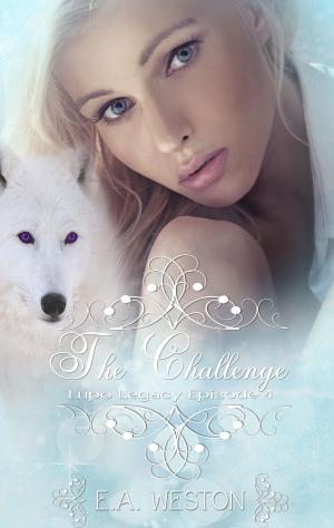 Cover of the book The Challenge by J.A. Giunta