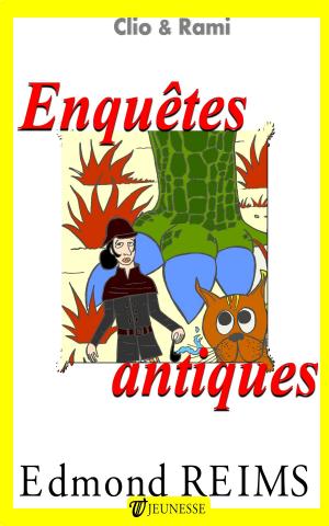 Cover of the book Enquêtes antiques by Evans Bissonette