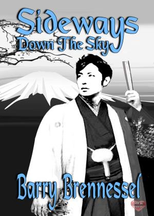 Cover of the book Sideways Down the Sky by Mychael Black