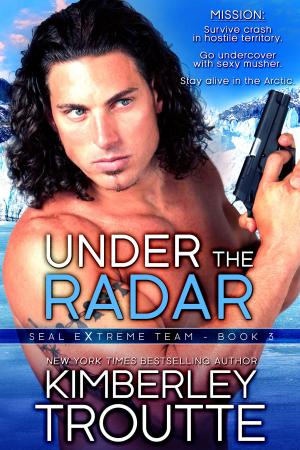 Cover of the book Under the Radar by Larry 