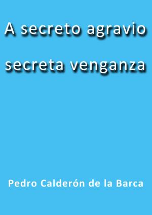 Cover of the book A secreto agravio secreta venganza by Anna Rothplez Als Rosalie Müller