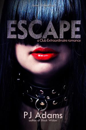 Cover of the book Escape by PJ Adams