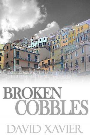 Book cover of Broken Cobbles