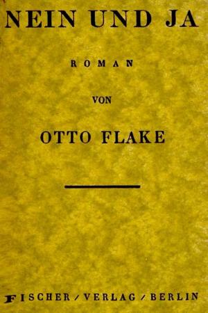 Cover of the book Nein und Ja by Theodor Storm