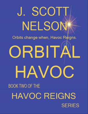 bigCover of the book Orbital Havoc by 