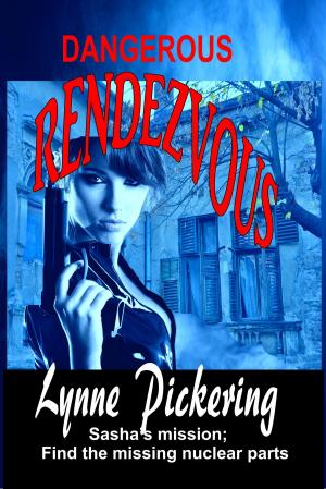 Cover of the book Dangerous Rendezvous by Steven Winshel