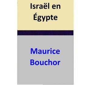 Cover of Israël en Égypte