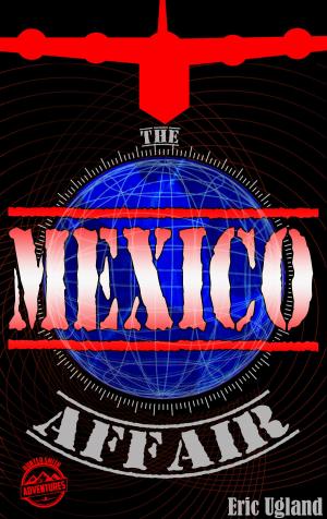 Cover of the book The Mexico Affair by David Pardo