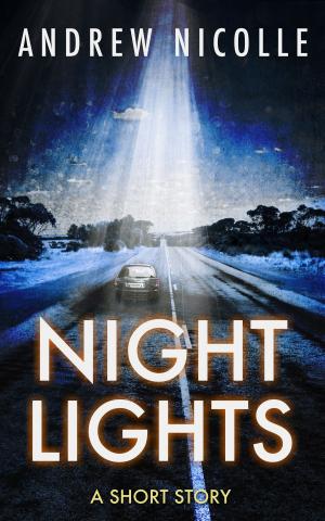 Cover of the book Night Lights by Fiona Tate