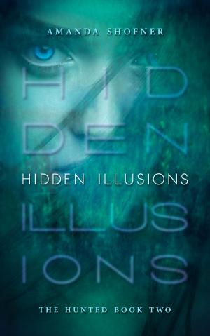Cover of the book Hidden Illusions by Sarah Osbourne
