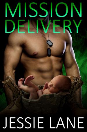 Cover of the book Mission Delivery by Jessie Lane