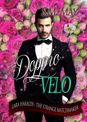 Cover of the book DOPPIO VELO by Charlotte Stein