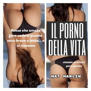 Cover of Il porno della vita (porn stories)
