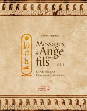 Book cover of Messages d'un Ange à son fils