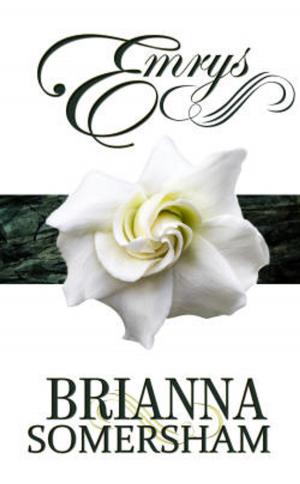 Cover of the book Emrys by Brittany Adams