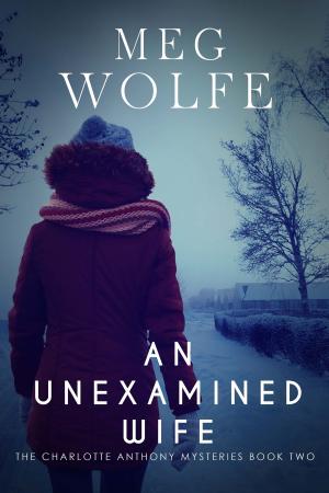 Cover of the book An Unexamined Wife by Laura Oneale