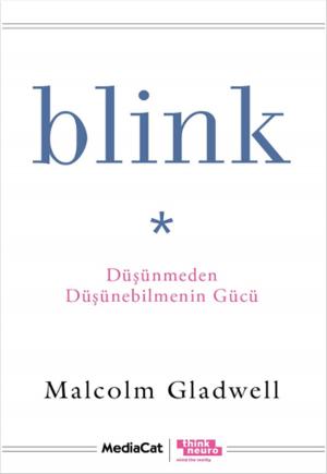 Cover of the book Blink by John Grant