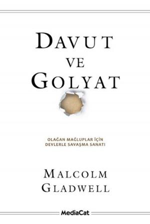 Cover of the book Davut ve Golyat by Daniel H. Pink