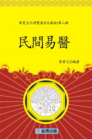 Cover of the book 民間易醫 by Bob Kern