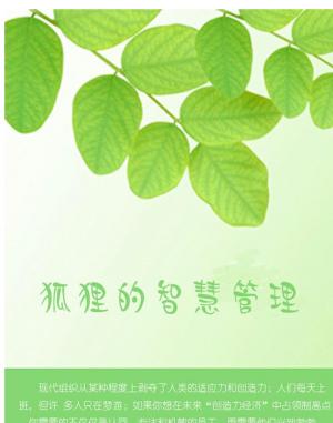 Cover of the book 狐狸的智慧管理 by Alizabeth Swain