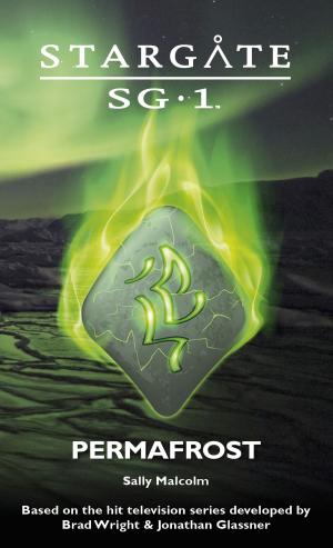 Book cover of Stargate SG-1: Permafrost