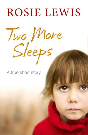 Cover of the book Two More Sleeps by Sophie Jenkins