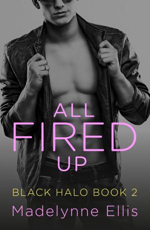 Cover of the book All Fired Up (Black Halo, Book 2) by Alex Walters