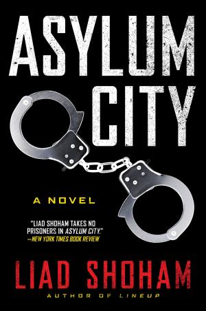 Book cover of Asylum City